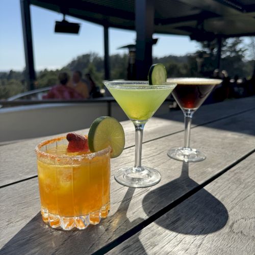 Three assorted cocktails garnished with fruit sit on an outdoor wooden table, with a scenic background and sunny weather.