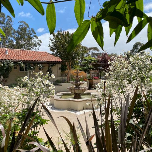 The image depicts a serene courtyard with a central fountain, surrounded by greenery and white flowers, and a building with a red-tiled roof.